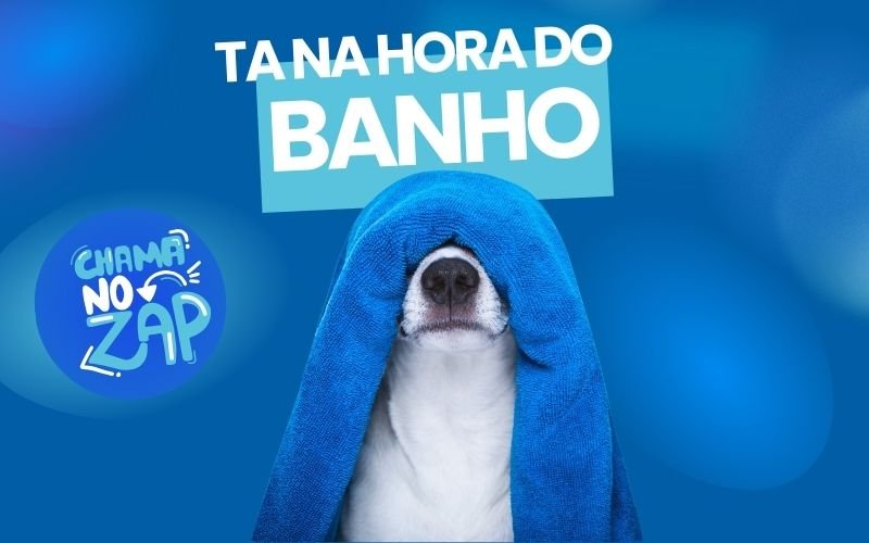 Modelo de site para Clínica veterinária e Petshop